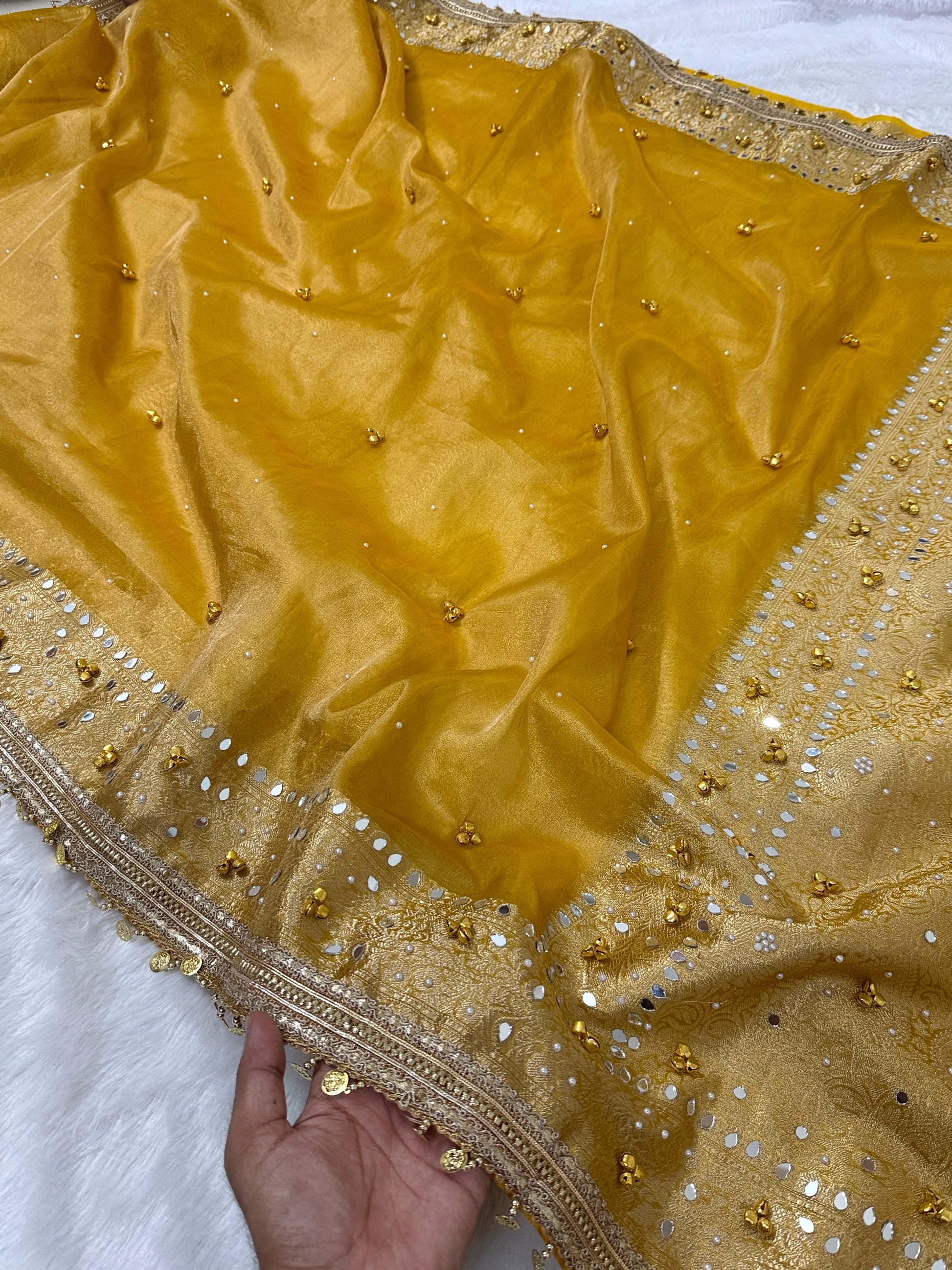 Banarasi Tissue Zari Weaving Border Saree x Ghungroo