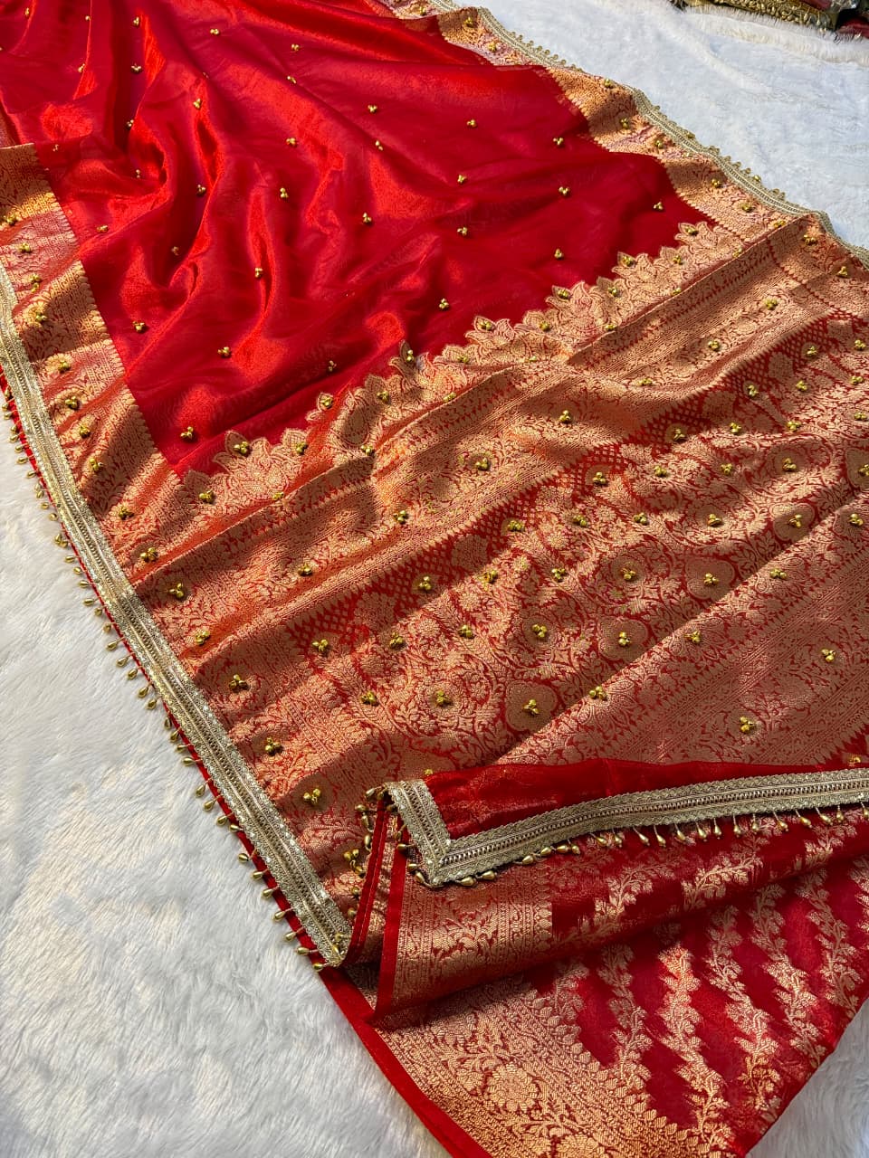 Banarasi Tissue Zari Weaving Border Saree X Ghungroo Handwork