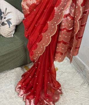 Banarasi Tissue Saree with Aari Work on all over Body with Intricate scallop border and Pallu