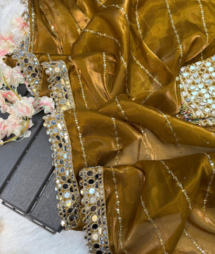 Beautiful satin organza saree