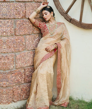 ✨ EXCLUSIVE DESIGNER SEQUINS SAREE COLLECTION ✨