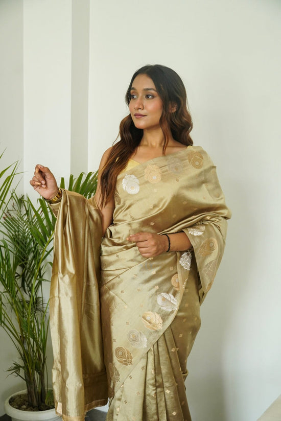 banarasi SOFT RAW MANGO SILK saree