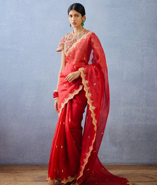 Designer Saree on Havy Organza Silk Febric