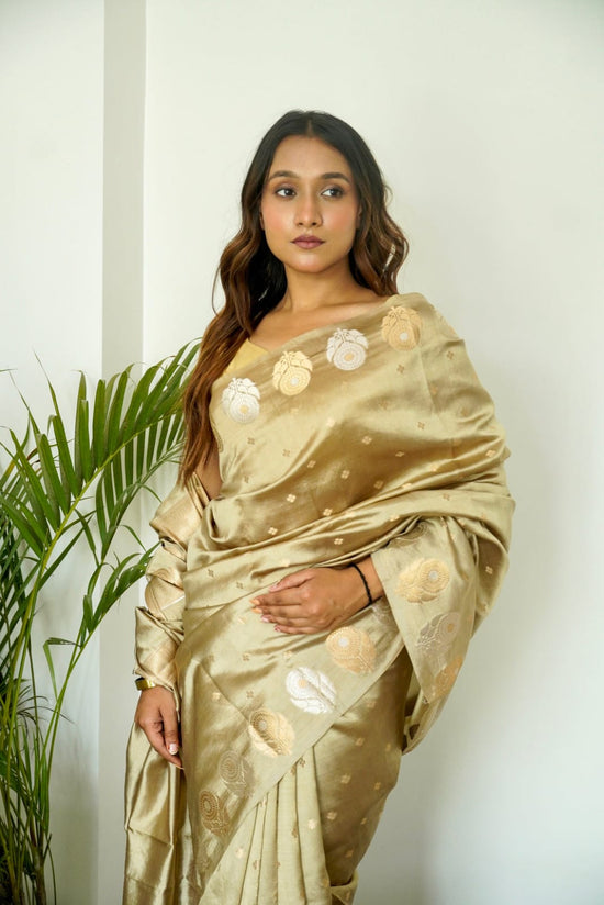 banarasi SOFT RAW MANGO SILK saree