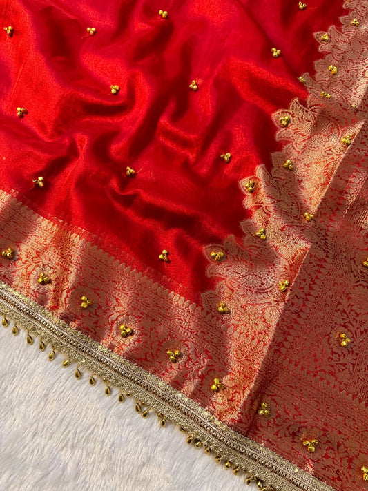 Banarasi Tissue Zari Weaving Border Saree X Ghungroo Handwork