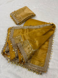 Banarasi Tissue Zari Weaving Border Saree x Ghungroo Handwork x Mirror & Beads Handwork