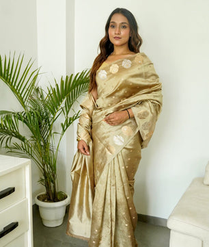 banarasi SOFT RAW MANGO SILK saree