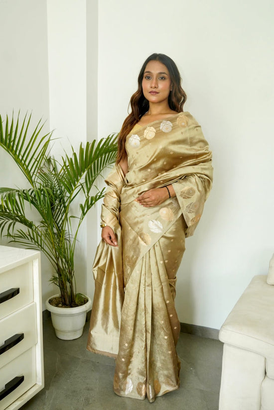 banarasi SOFT RAW MANGO SILK saree