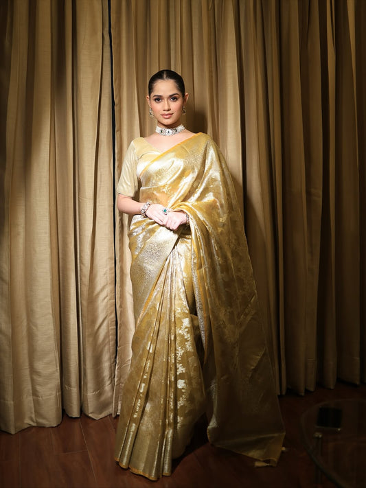 Banarasi tissue saree with zari jaal weaving