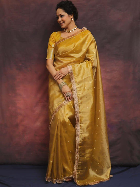 banarasi SOFT    TISSUE SILK saree