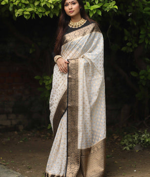 Premium banarasi Georgette silk saree