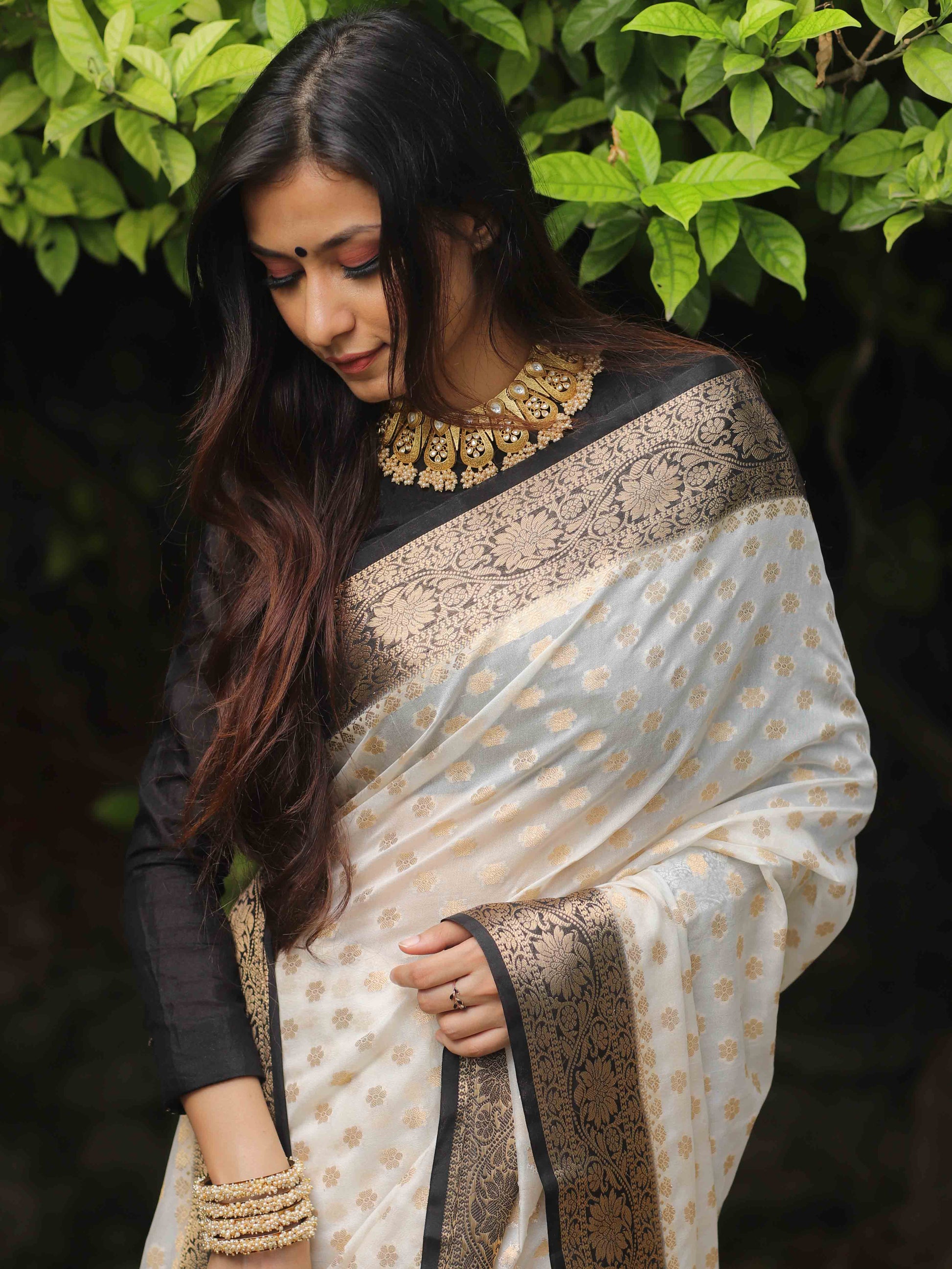 Premium banarasi Georgette silk saree