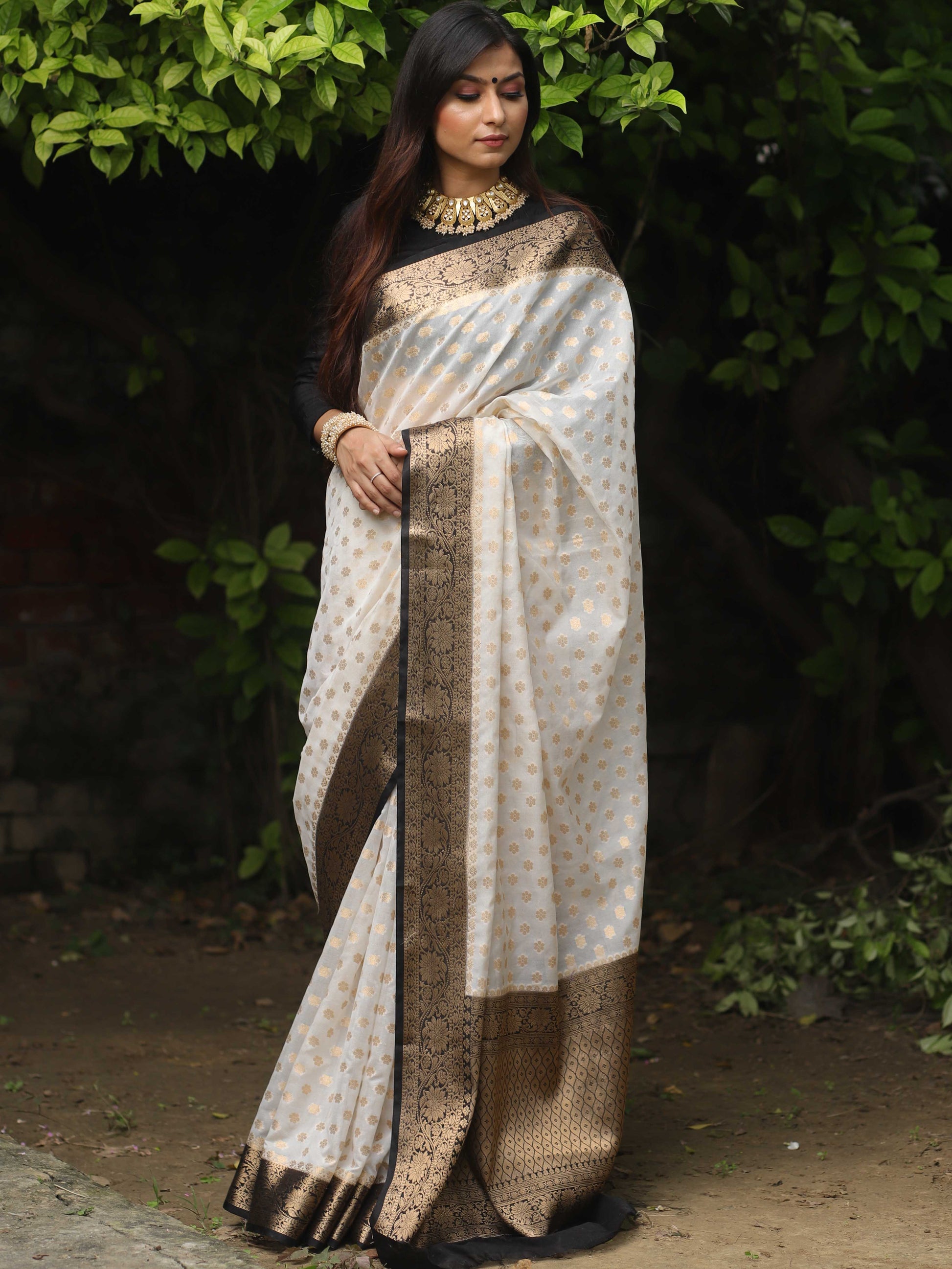 Premium banarasi Georgette silk saree