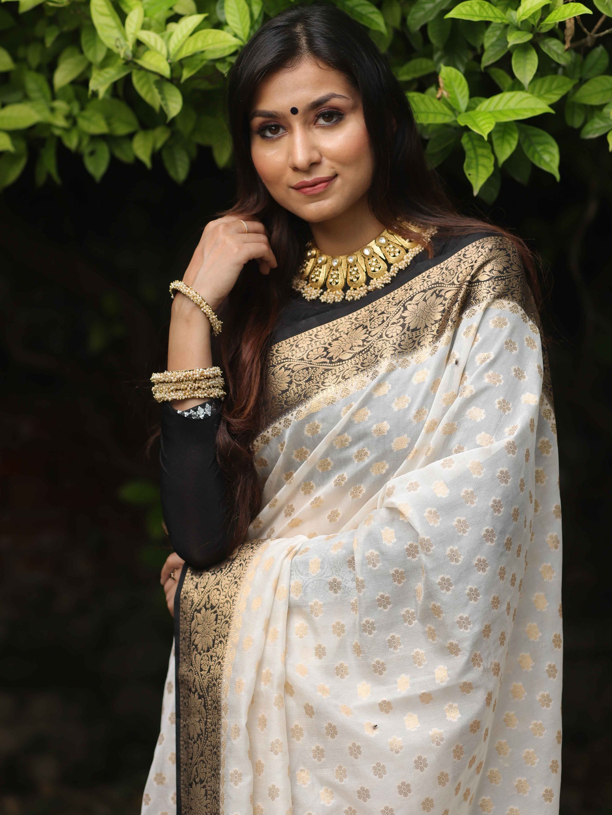 Premium banarasi Georgette silk saree