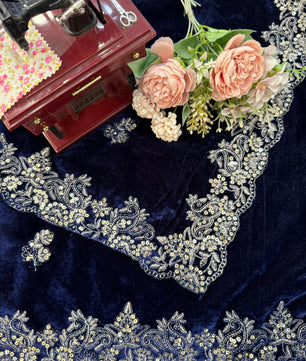 Bollywood inspired velvet saree