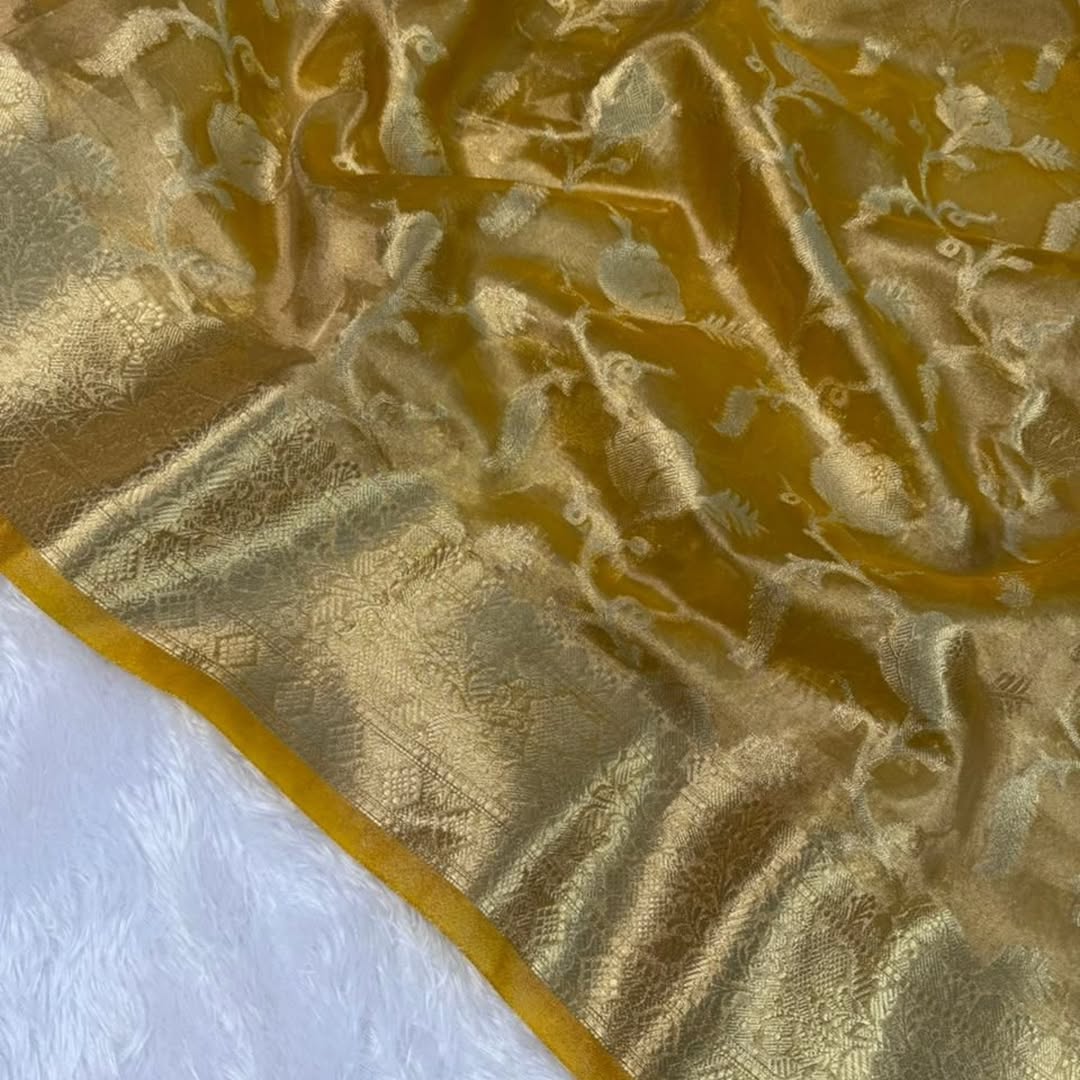 Banarasi tissue saree with zari jaal weaving
