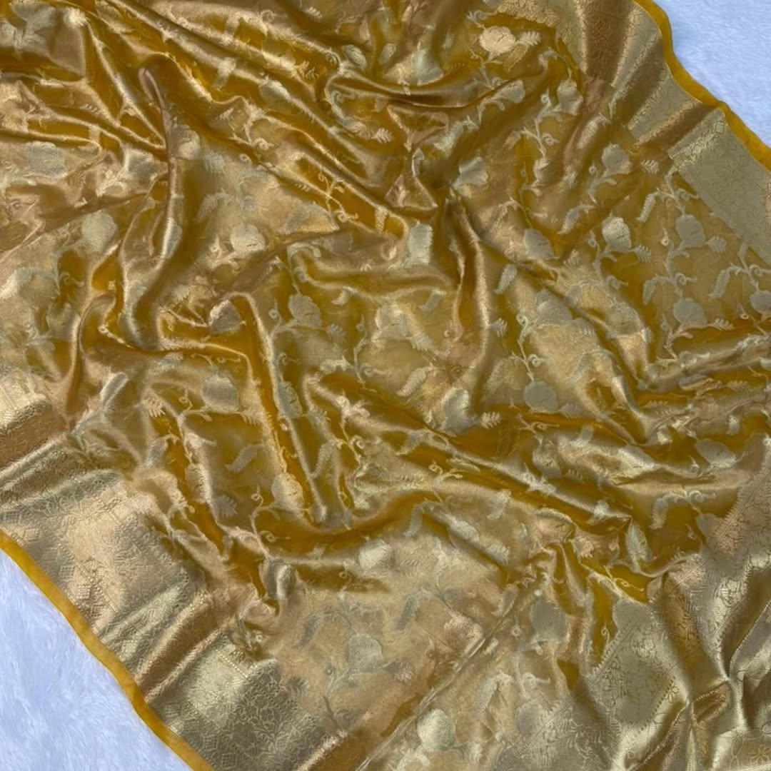 Banarasi tissue saree with zari jaal weaving