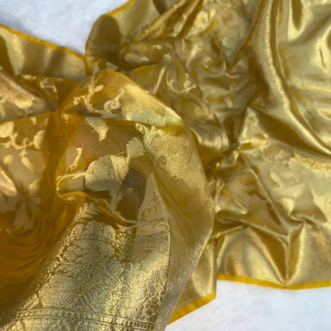 Banarasi tissue saree with zari jaal weaving