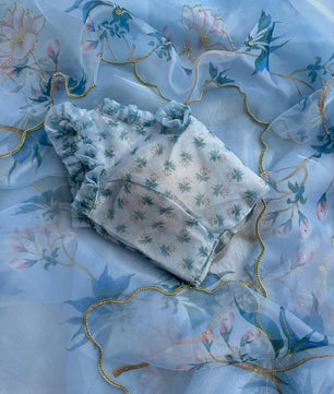 BEAUTIFUL SOFT ORGANZA DIGITAL PRINT SAREE WITH FULL HANDWORK